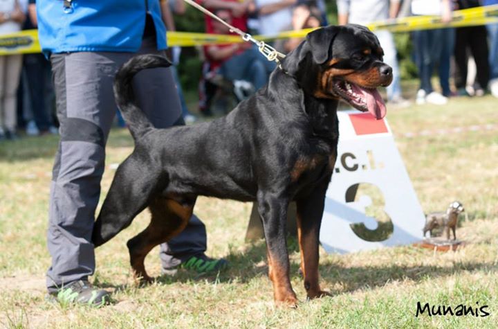 10441211_871192656228182_1398393416855544876_n