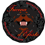 FUCINADEFESTO_LOGO_square7