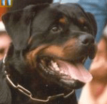 Rick von Burgthann 1