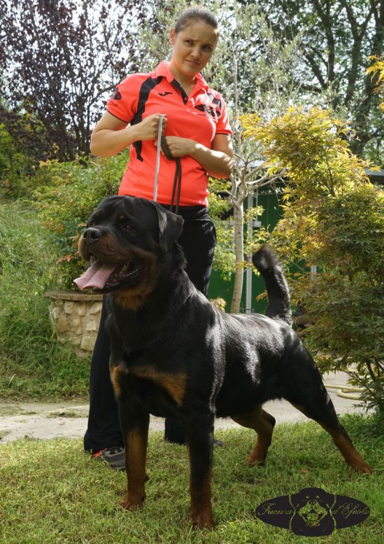 Ragnar-Fucina-d'Efesto-18-mesi_1