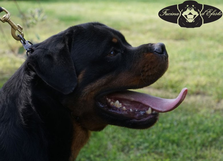 Ragnar-Fucina-d'Efesto-18-mesi_10