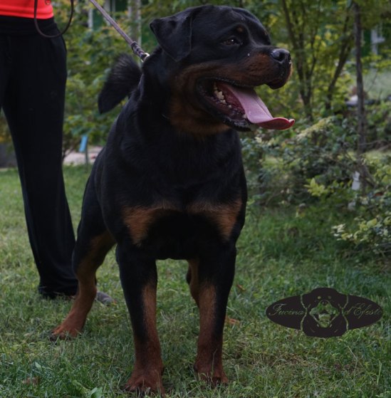 Ragnar-Fucina-d'Efesto-18-mesi_11