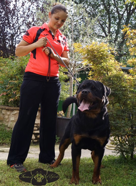 Ragnar-Fucina-d'Efesto-18-mesi_2