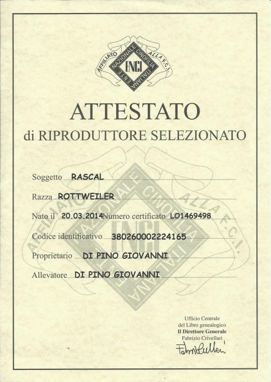 Rascal Attestato Riprodruttrice Selezionata