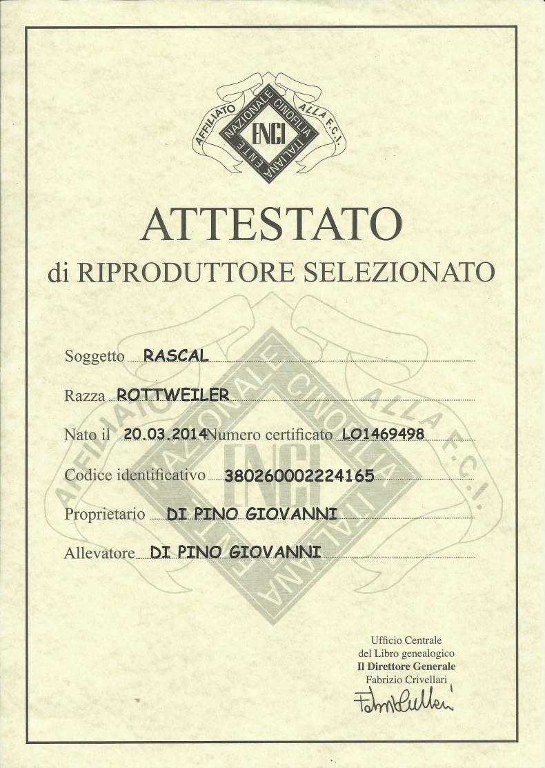 Rascal Attestato Riprodruttrice Selezionata