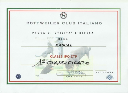 IPO-ZTP Rascal diploma