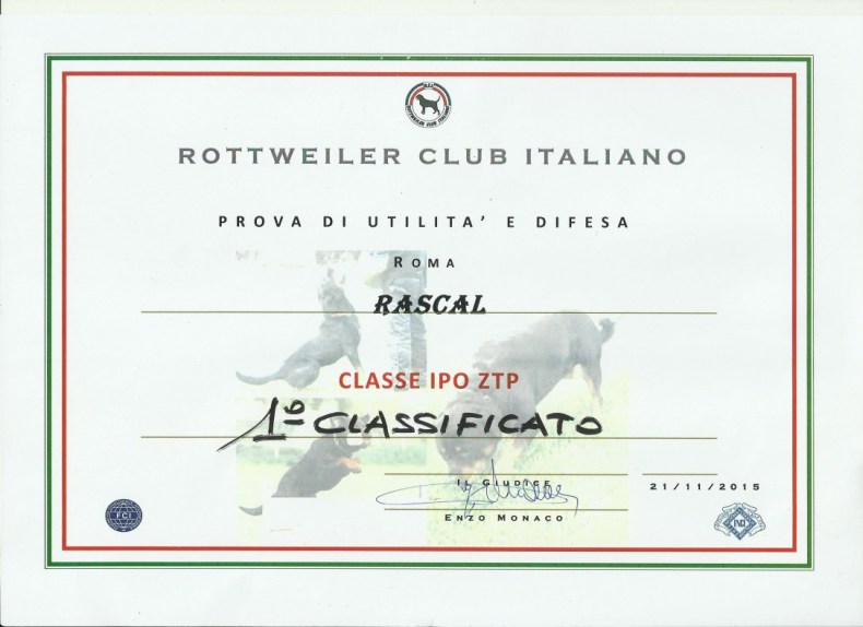 IPO-ZTP Rascal diploma