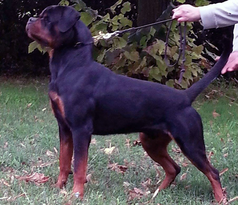 12299198_1686394984941673_2768021022002194591_n