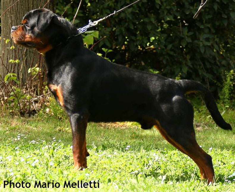 944982_1736747539906417_1807419485012443099_n