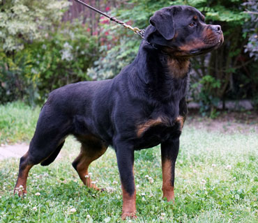 inka_24mesi_1_web_short