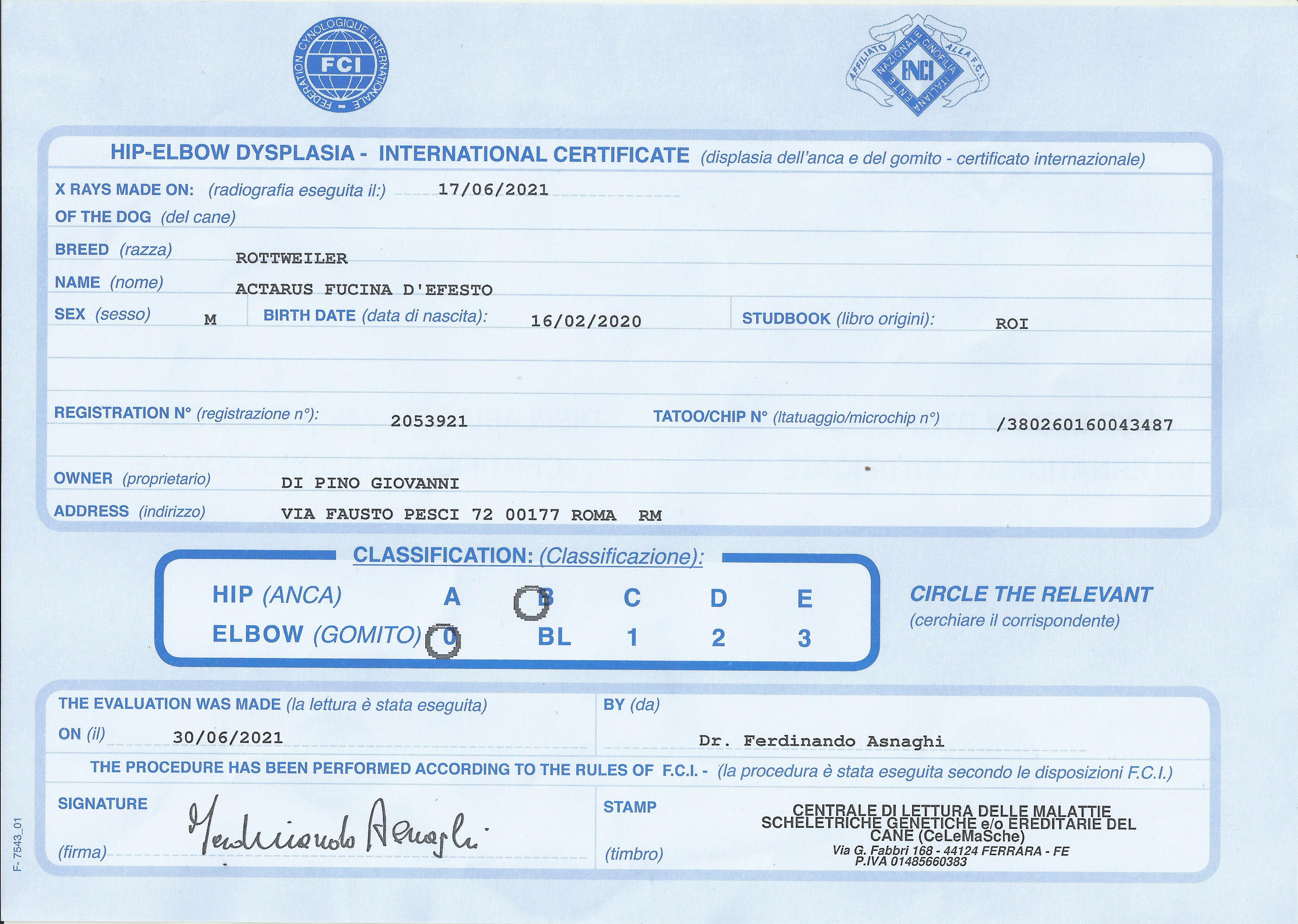 Risultato lastre Actarus